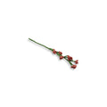 Blossom Branch