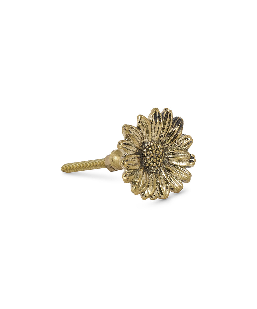 Breezy Daisy Knob