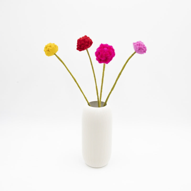Chrysanthemum