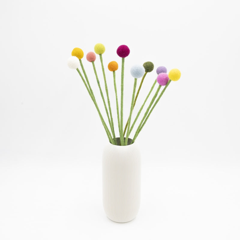 Drumstick Flower