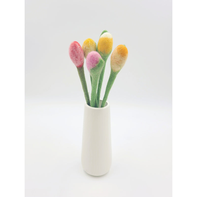 Tulip