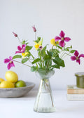 Hyacinth Vase Clear L