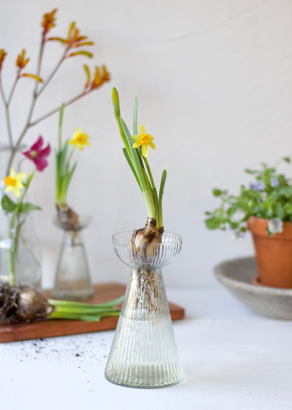 Hyacinth Vase Clear L